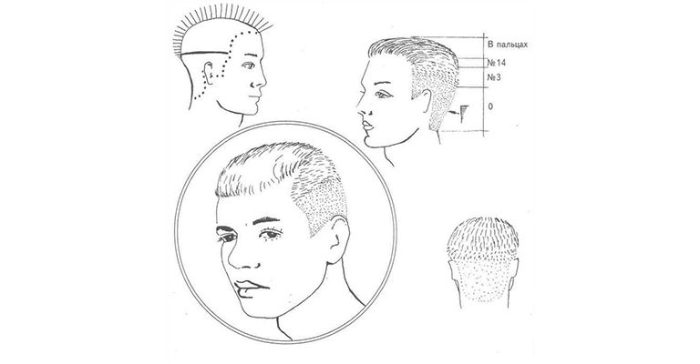 Схемы мужских стрижек для начинающих парикмахеров с описанием