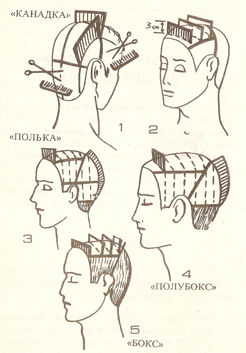 Схемы мужских стрижек для парикмахеров с описанием начинающих