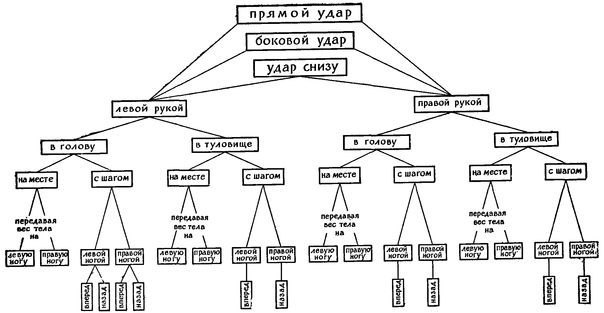 Какие удары есть. Основные виды ударов в боксе. Основные удары в боксе. Приемы в боксе названия. Виды ударов в боксе названия.