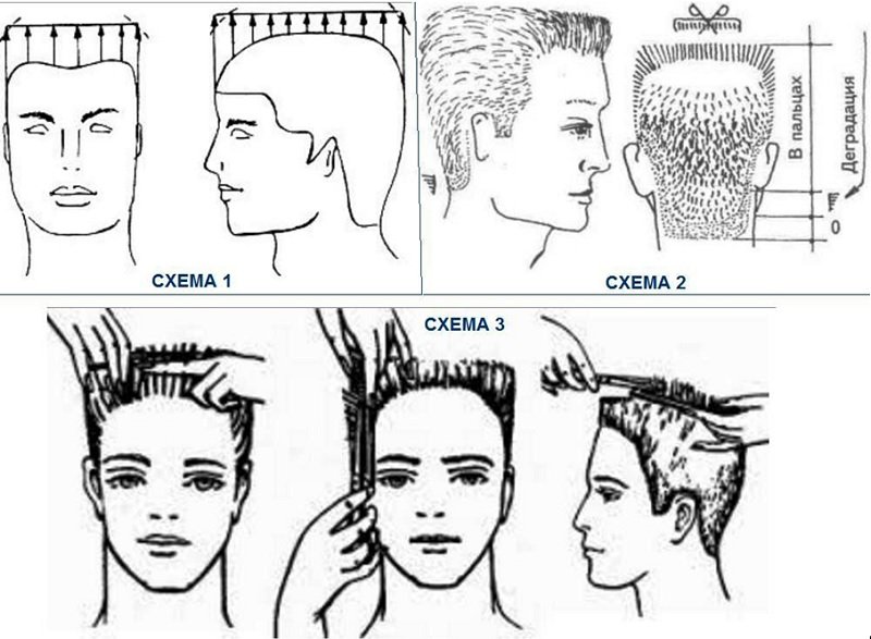 Схемы мужских стрижек для парикмахеров с описанием начинающих